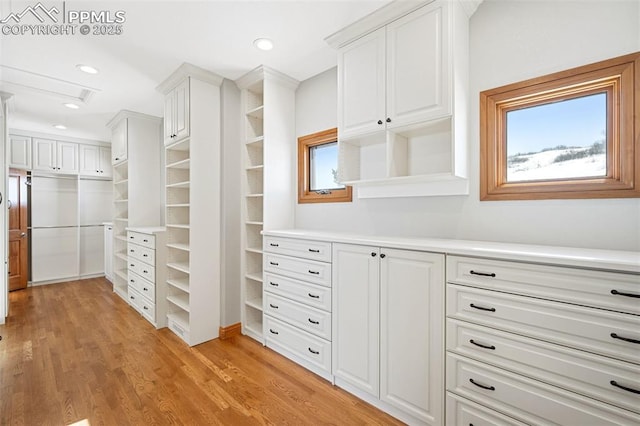 walk in closet featuring light wood-style flooring