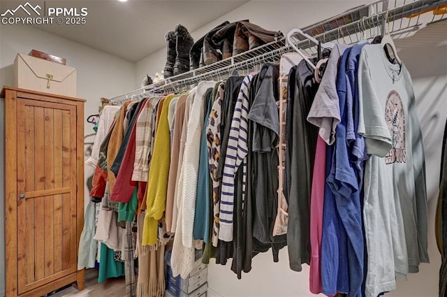 spacious closet with wood finished floors