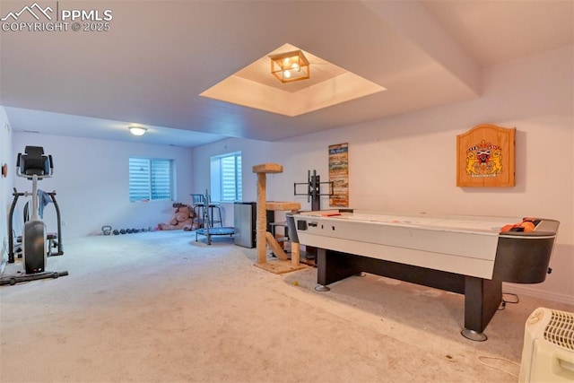 rec room featuring a tray ceiling and carpet