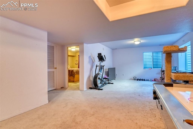 workout area with carpet floors