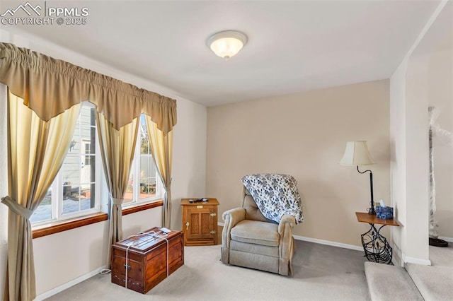 sitting room featuring carpet flooring and baseboards