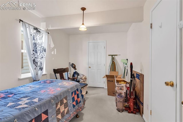 bedroom with light colored carpet