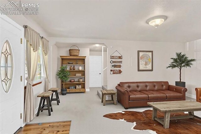 view of carpeted living area