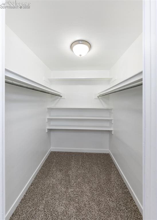 walk in closet with carpet