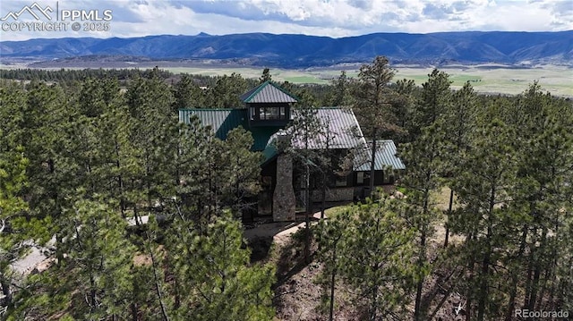 bird's eye view with a mountain view