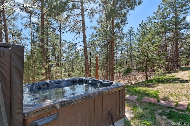 view of yard featuring a hot tub