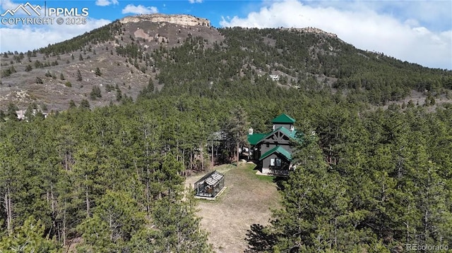 drone / aerial view featuring a mountain view and a view of trees