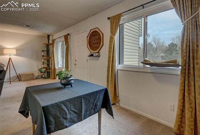 dining room with a textured ceiling, carpet floors, and baseboards