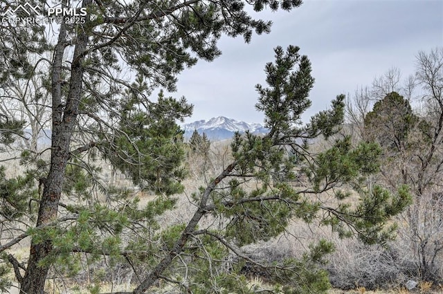 view of landscape with a forest view and a mountain view