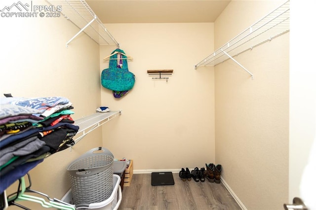 walk in closet with wood finished floors