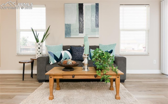 living area featuring baseboards and wood finished floors