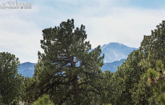 property view of mountains