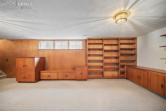 below grade area featuring wood walls and carpet flooring