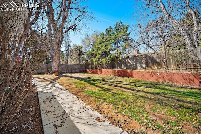 view of yard featuring a fenced backyard