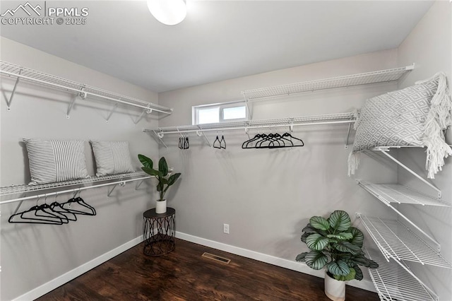 walk in closet featuring visible vents and wood finished floors