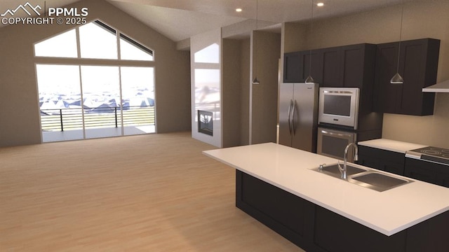 240 N Limit St, Colorado Springs, CO 80904 - kitchen with a sink, stainless steel appliances, dark cabinetry, light wood finished floors, and light countertops