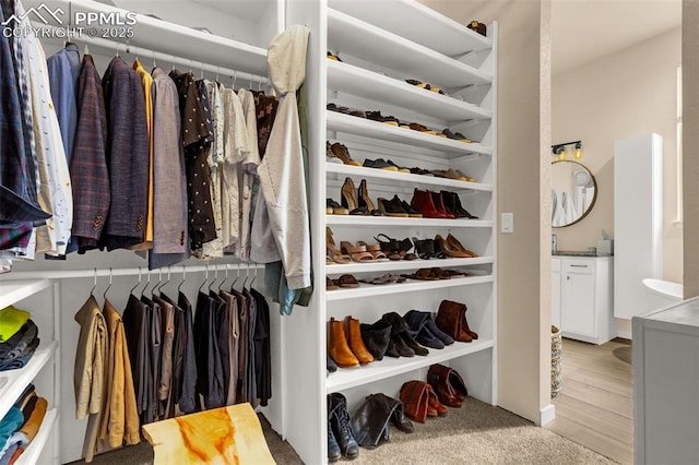 view of walk in closet