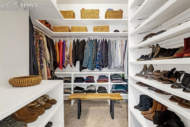 walk in closet with carpet