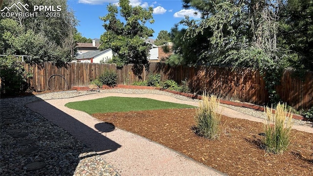 view of yard with a fenced backyard