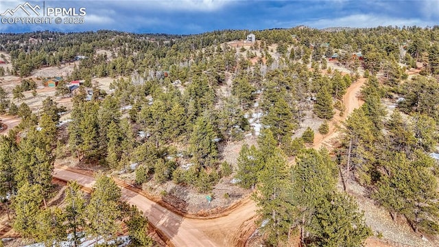 1486 S Mountain Estates Rd, Florissant CO, 80816 land for sale