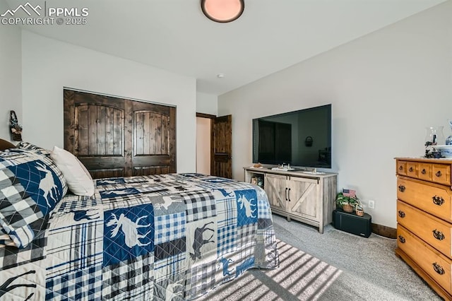 bedroom with carpet flooring