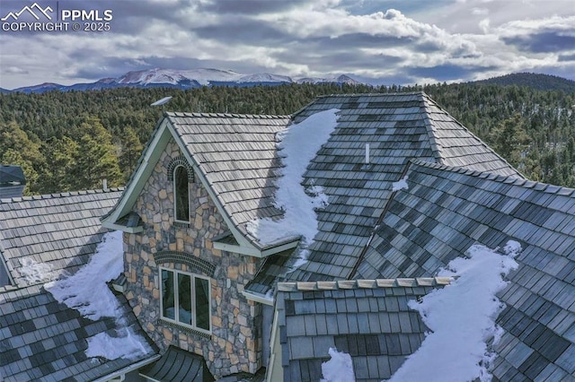 details featuring a mountain view and a view of trees