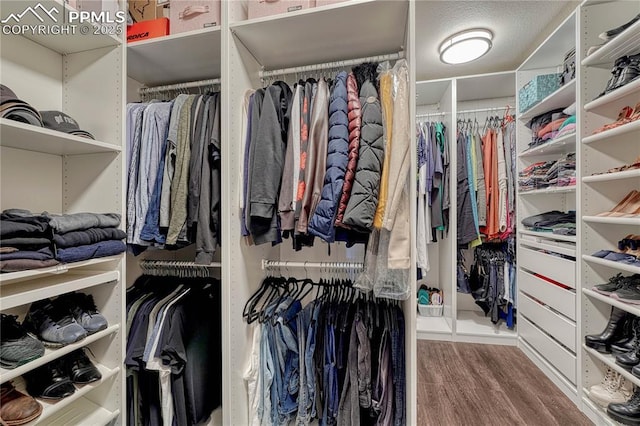 walk in closet featuring wood finished floors