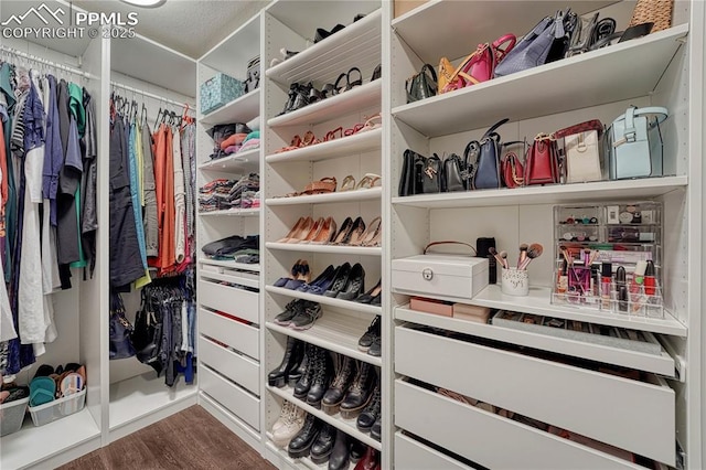 spacious closet with dark wood finished floors