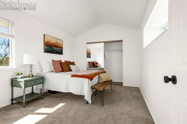 bedroom featuring lofted ceiling, baseboards, carpet floors, and a closet