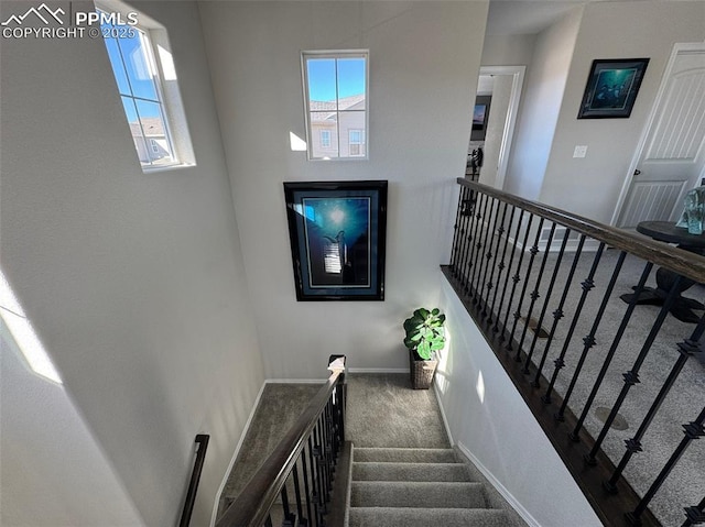 staircase with carpet and baseboards