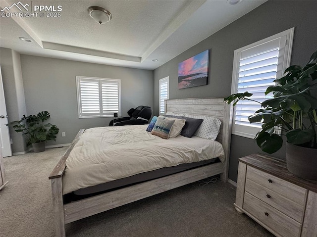 bedroom featuring carpet, a raised ceiling, a textured ceiling, and baseboards