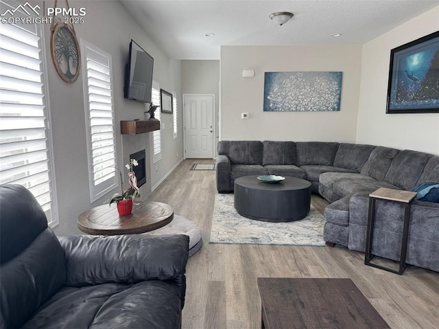 living room featuring a fireplace and wood finished floors