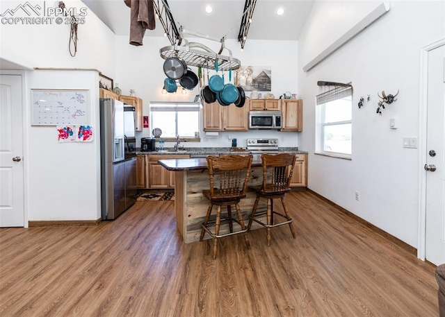 kitchen featuring stainless steel appliances, a breakfast bar, wood finished floors, a center island, and dark countertops