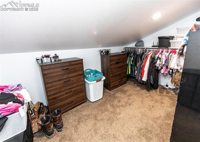 walk in closet with lofted ceiling and carpet flooring