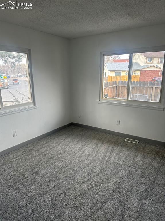 carpeted spare room featuring plenty of natural light, baseboards, visible vents, and a textured ceiling