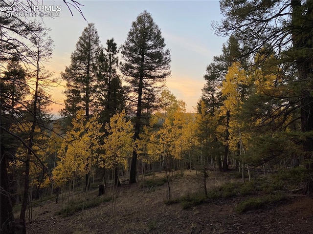 835 Bennett Dr, Cripple Creek CO, 80813 land for sale