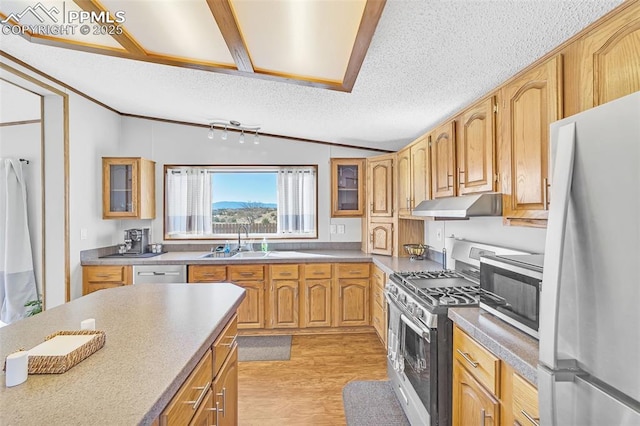 kitchen featuring a textured ceiling, under cabinet range hood, a sink, appliances with stainless steel finishes, and glass insert cabinets