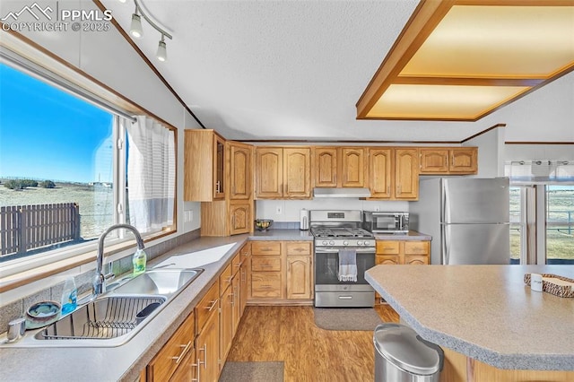 kitchen featuring light wood-style flooring, appliances with stainless steel finishes, a sink, a textured ceiling, and under cabinet range hood