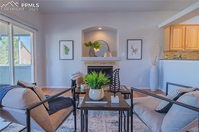 living room featuring a fireplace, baseboards, and wood finished floors