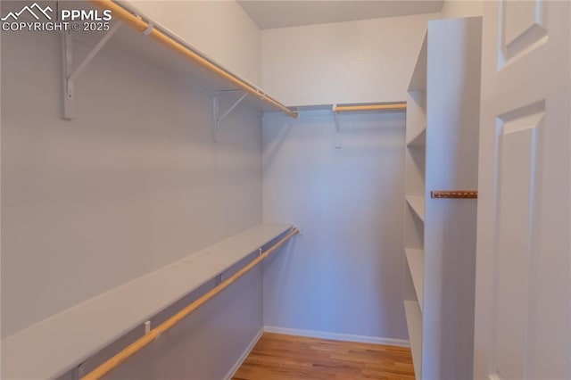 walk in closet featuring light wood-style flooring