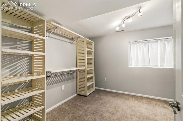 spacious closet with carpet floors and visible vents