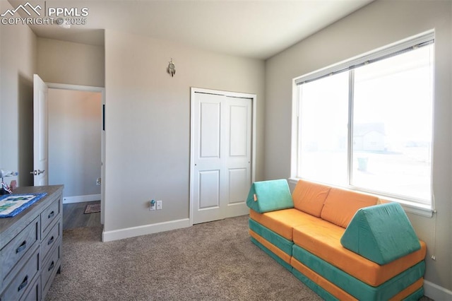 sitting room featuring carpet floors and baseboards