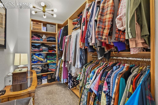 spacious closet featuring carpet flooring