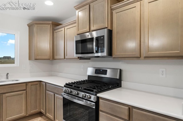 kitchen with stainless steel appliances, recessed lighting, light countertops, and a sink