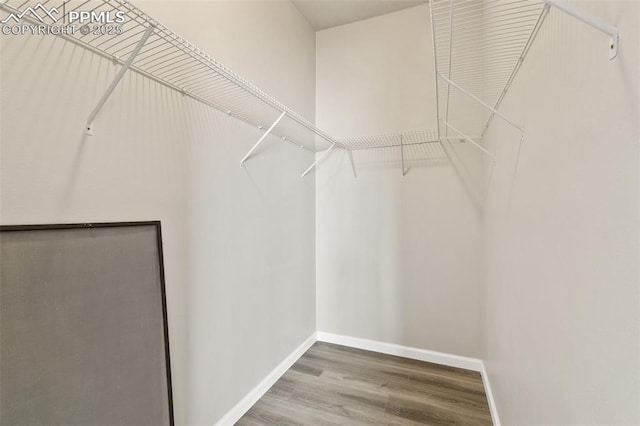 walk in closet featuring wood finished floors