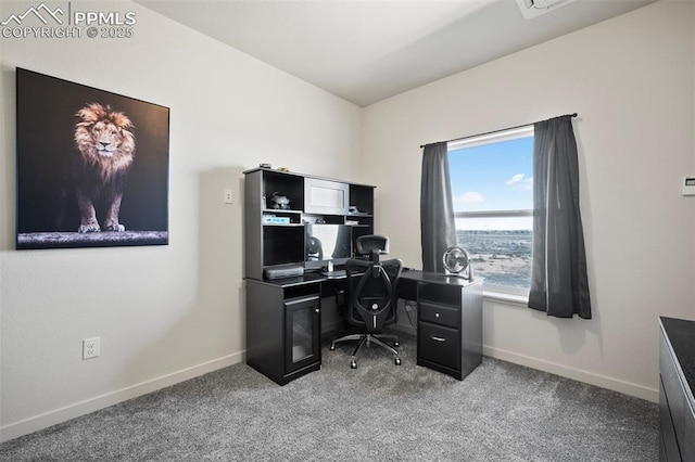 1086 N Purcell Blvd, Pueblo West, CO 81007 - home office with carpet floors and baseboards