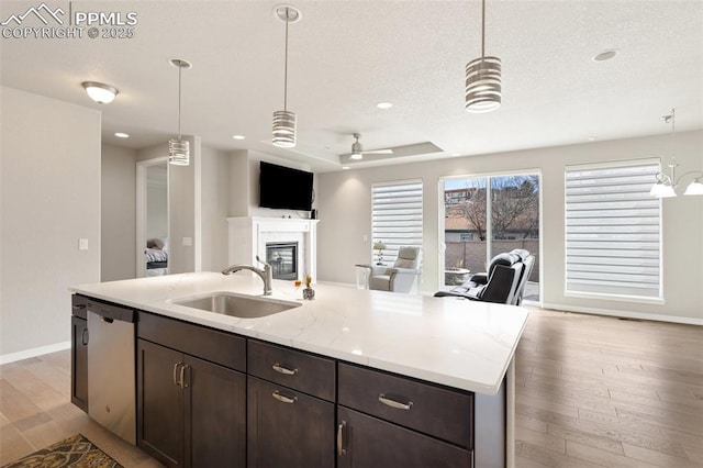 kitchen with a sink, light wood-style floors, open floor plan, dishwasher, and a glass covered fireplace