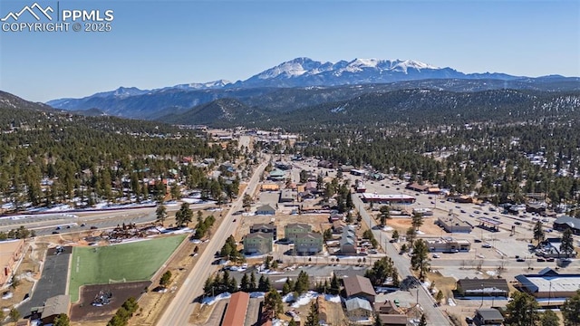 bird's eye view with a mountain view