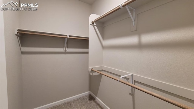 9463 Jollity Pt, Colorado Springs, CO 80924 - spacious closet with carpet