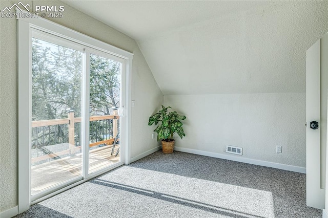 additional living space featuring a textured wall, carpet flooring, visible vents, baseboards, and vaulted ceiling